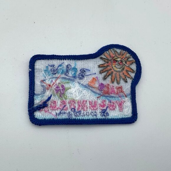 Girl Scouts 2004 Make A Splash Volunteer Cookie Selling Embroidered Patch Lot Of - Picture 2 of 2